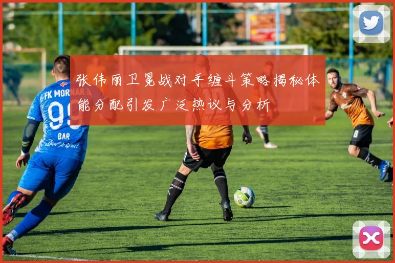 张伟丽卫冕战对手缠斗策略揭秘体能分配引发广泛热议与分析